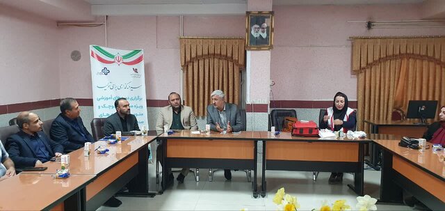 ضرورت معرفی برند بومی فرش «نقشه آصادقی» تویسرکان