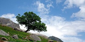 افزایش سرعت باد در همدان
