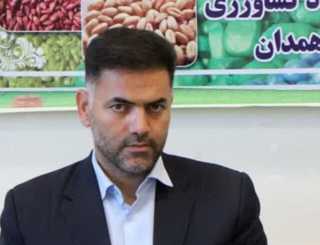 باقی مانده مطالبات گندم‌کاران همدانی به‌زودی پرداخت می‌شود