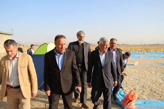 ضرورت ایجاد اتحادیه سراسری سیب‌زمینی در همدان