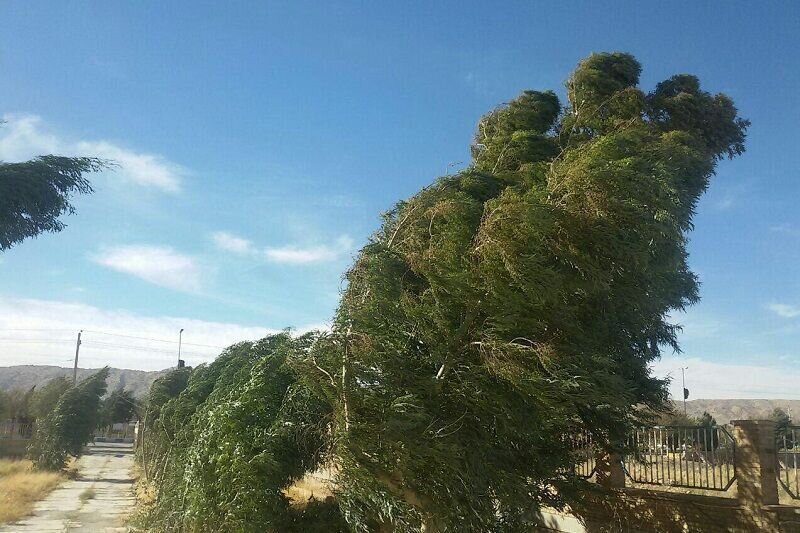 سرعت وزش باد در همدان به ۵۰ کیلومتر رسید سرعت وزش باد در همدان به ۵۰ کیلومتر رسید
