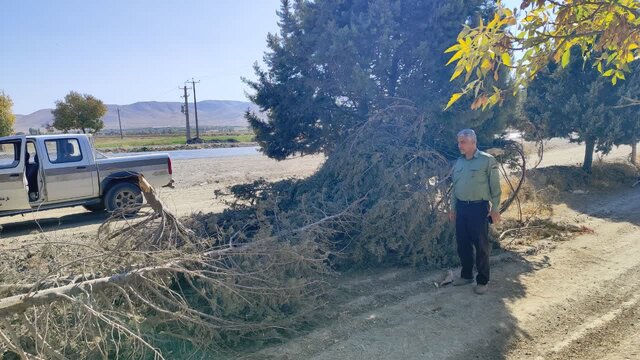 پرونده تخریب اراضی ملی روستاهای موسیرآباد و بیغش در دست پیگیری است
