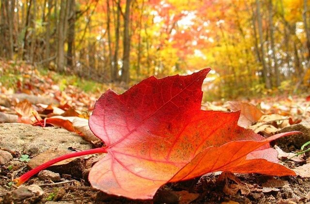 تداوم هوای نسبتا سرد صبحگاهی همدان در روزهای آینده