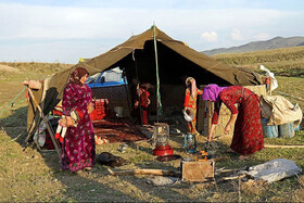 سکونت ۵۰ خانوار عشایر تویسرکان در سیاه‌چادرهای سنتی