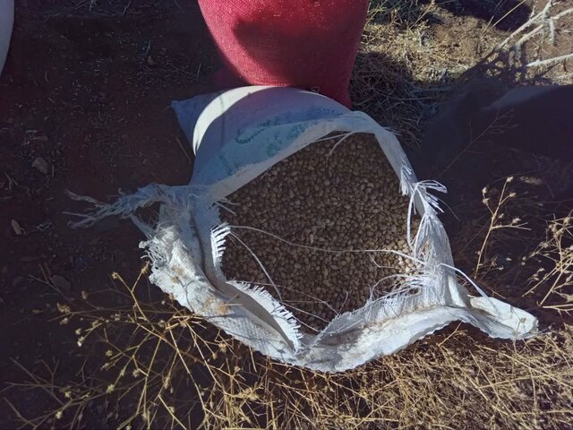 آغاز فاز اجرایی پروژههای بیولوژیک و بیومکانیک مرتعداری ملایر