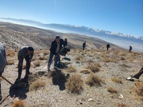 بیابان‌زدایی، تثبیت خاک و بهبود وضعیت پوشش گیاهی در مراتع «زاغه‌انوج»