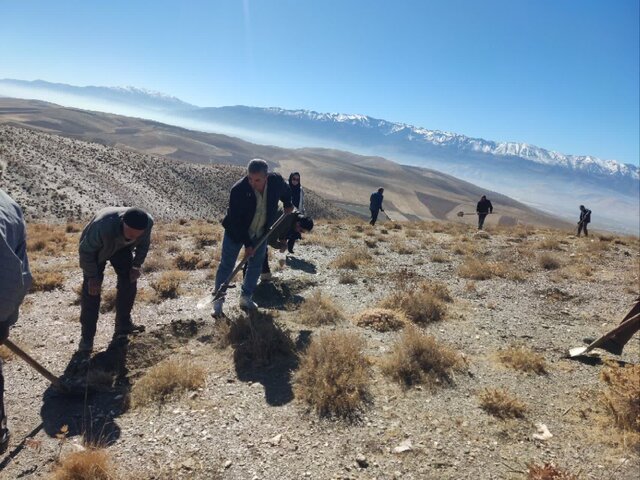 بیابان‌زایی، تثبیت خاک و بهبود وضعیت پوشش گیاهی در مراتع «زاغه‌انوج»