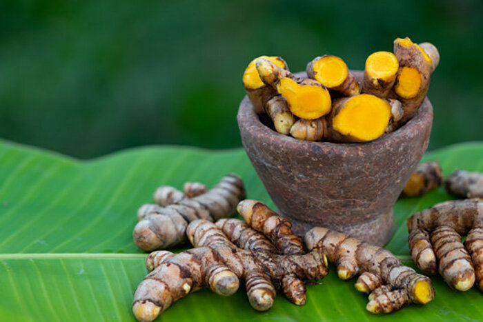 از کشت گلخانه‌ای زردچوبه و زنجبیل تا میوه‌های استوایی در کبودراهنگ