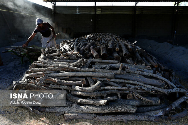 مسئول نمایندگی محیط‌زیست: واحد تولید ذغال در درگزین تعطیل شد