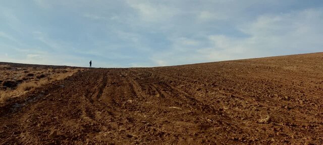 رئیس منابع طبیعی و آبخیزداری ملایر: متصرفان اراضی ملی پلاک یونس به مراجع قضایی معرفی می‌شوند