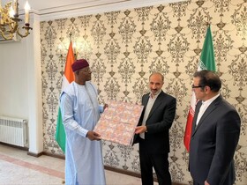 توسعه همکاری‌ها بین ایران و نیجر، الگویی موفق برای تقویت روابط منطقه‌ای و بین‌المللی است