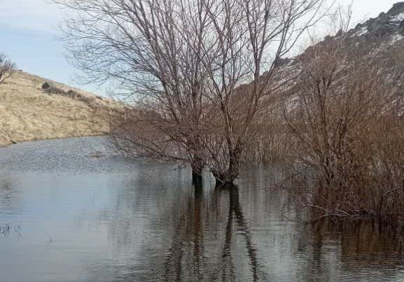 بارشهای اخیر تأثیری بر سازههای آبخیزداری همدان داشت؟