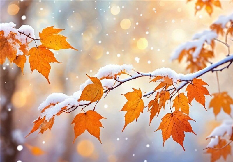 بارش خفیف و پراکنده برف از امشب در همدان