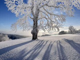 هوای نسبتا آرام همدان تا اواسط هفته آینده