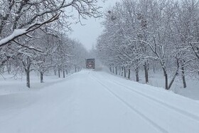 بارش برف و کولاک از امشب تا صبح فردا در همدان