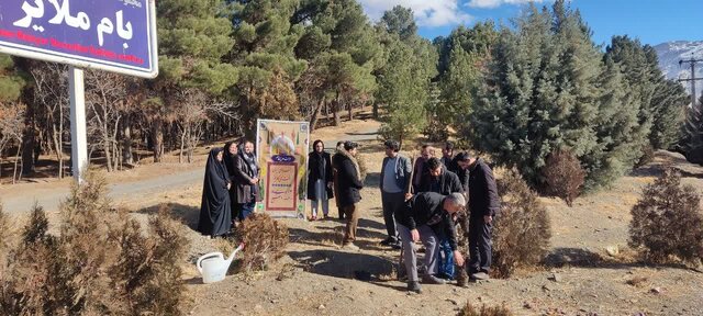 اجرای طرح درختکاری به نیت «سرباز وطن» در بام ملایر