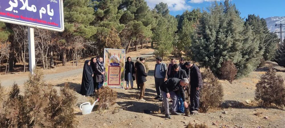 اجرای طرح درختکاری به نیت «سرباز وطن» در بام ملایر