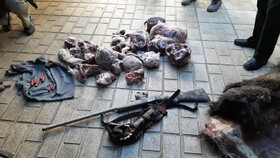 دستگیری شکارچی غیرمجاز در ازندریان