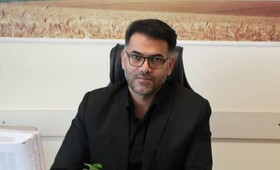 کارآمدسازی یارانه‌ها در بخش کشاورزی اقدامی هوشمندانه برای ثبات بازار است