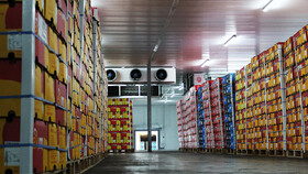 ۶۳ سردخانه در همدان احداث می‌شود