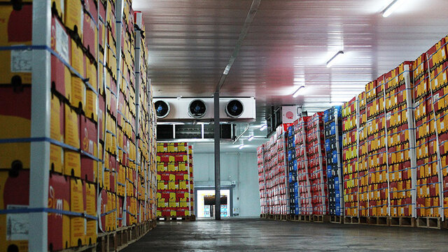 ۶۳ سردخانه در همدان احداث می‌شود