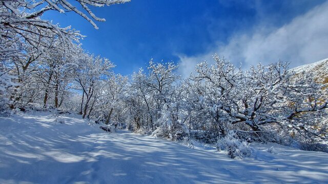جو پایدار هوا طی امروز و فردا در همدان/ فعالیت سامانه بارشی از اواسط هفته
