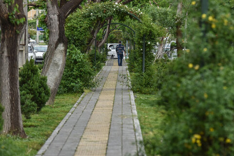 سرانه فضای سبز ملایر ۲۲ مترمربع است