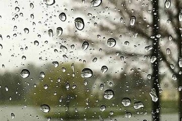 بارش ۳۷ میلیمتری باران در تاریکدره نهاوند/ هوای آرام همدان در روز طبیعت