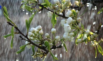 کارشناس هواشناسی استان: هوای همدان بارانی می‌شود