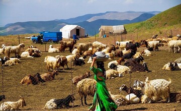 کاهش فشار دام بر مراتع همدان با خروج از اشتغال تک بعدی عشایر