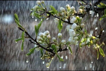 بارش ۷۸ میلیمتری باران در «ده‌حیدر» نهاوند