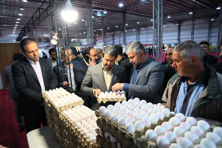 فرصتها و چالشهای نمایشگاه عرضه مستقیم کالاهای اساسی در همدان