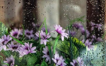بارش پراکنده باران در همدان /تداوم روند افزایشی دما