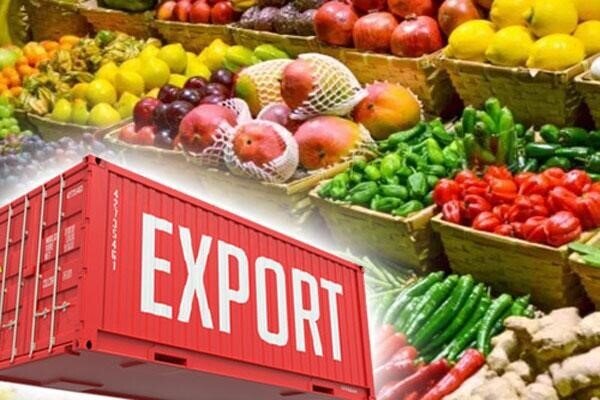 صادرات ۵۰۰ تُن محصولات گلخانه‌ای همدان در جنگ ۴۰ روزه