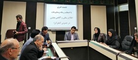 ابتلای 250 نفر در ایلام به آنفلوآنزا