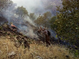 توضیحات فرماندار درباره آتش‌سوزی در منطقه جنگلی «سیاه پیر»