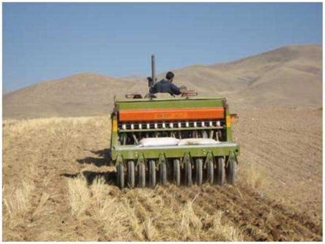 دیم کاری در ایلام، گرفتار دیمی‌کاری