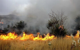 10هکتار از مراتع طبیعی چرداول در آتش سوخت