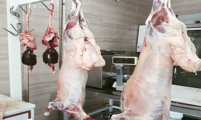 دام زنده ارزان ،  گوشت گران است!