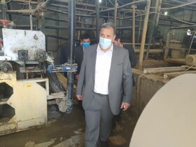 ‍ شرکت های دانش بنیان به راه‌اندازی واحد های صنعتی راکد ورود می‌کنند