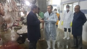 برای مبارزه با کشتار غیرمجاز نیازمند طرح‌های جامع‌تری هستیم