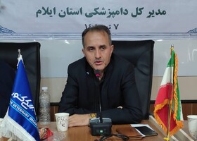 سهم ناچیز بهداشت و حلیت در گردش اقتصادی  ۲.۵ میلیاردی مصرف گوشت قرمز در ایلام