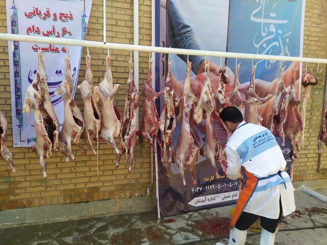توزیع ۱۵ هزار کیلو گوشت قربانی میان نیازمندان ایلام/ جمع‌آوری ۵۰۵ رأس دام قربانی