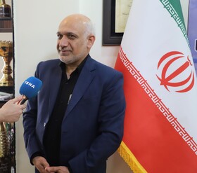 سهم کمتر از ۷ درصدی اصناف در درآمدهای مالیاتی بیانگر حمایت از مشاغل خُرد است