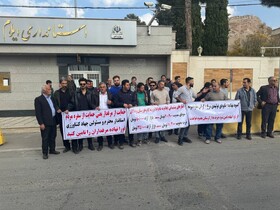 گلایه مرغداران ایلام از کمبود سویا و نهاده دامی