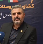 نرخ پوشش بیمه اجتماعی روستاییان ایلام از مرز ۵۲ درصد عبور کرد