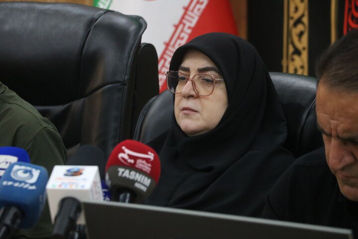 سخنگوی دولت: اربعین فرصتی برای توسعه اقتصاد زیارتی در ایلام است