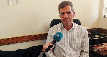 ایلام در میان ۶ استان برتر تولیدکننده ذرت کشور؛ آغاز تحول در راندمان آبیاری و کشت مستقیم