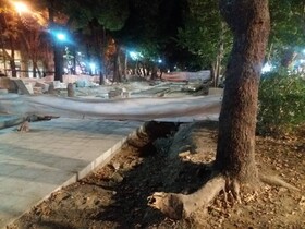 راهکارهای مراقبت از ریشه درختان در معرض هوا