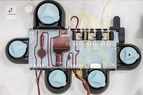 اهدای خون در دومین شب قدر - اصفهان